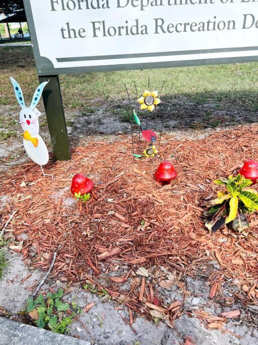 3Brdrm Home Near Downtown Orlando And Winterpark エクステリア 写真